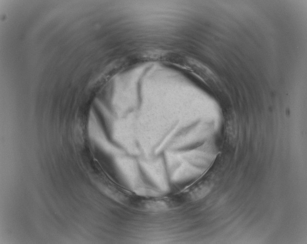 X0000076320572200610272007