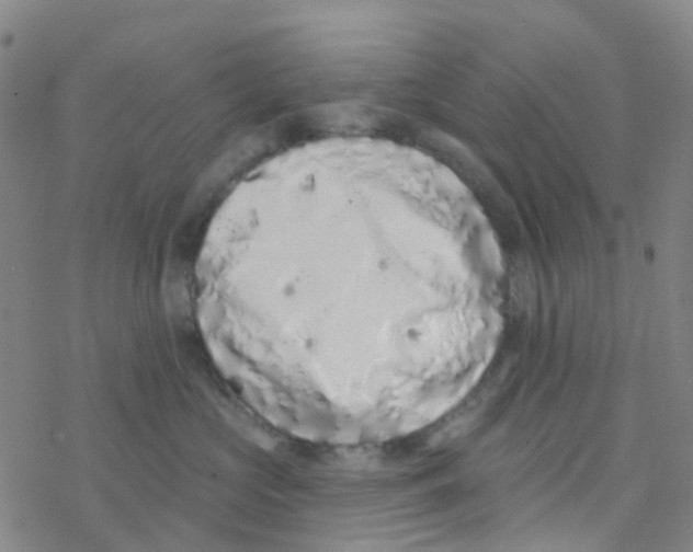 X0000076320573200610272007