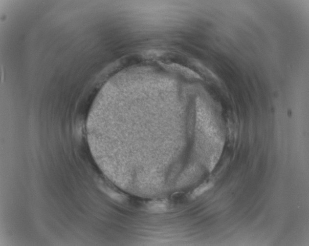 X0000076320574200610272007