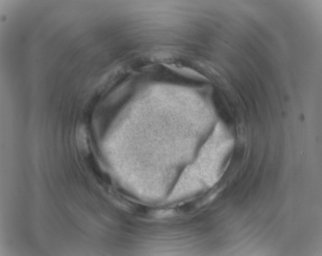 X0000076320575200610272007