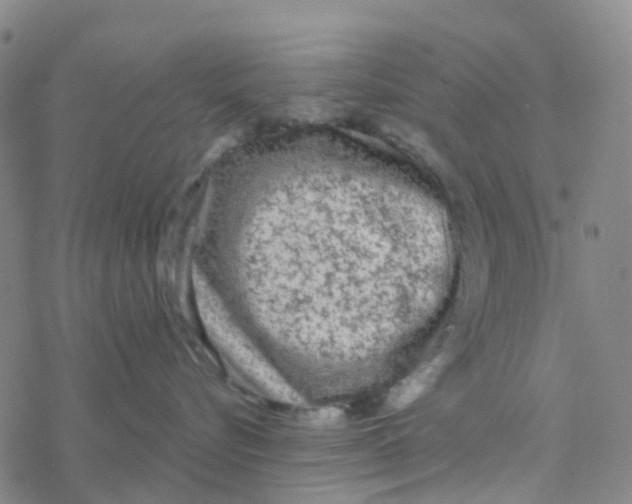 X0000076320576200610272007