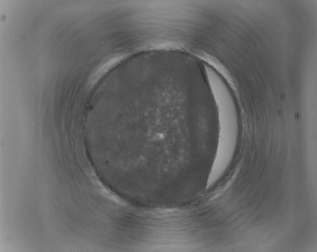 X0000076320577200610272006