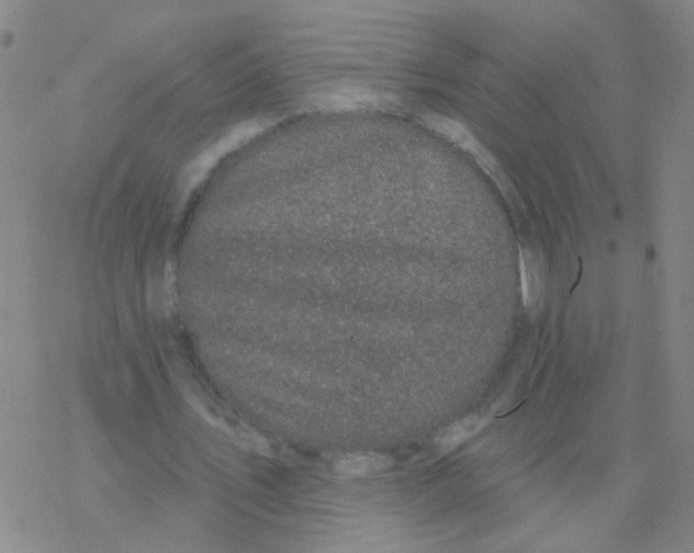 X0000076320579200610272006