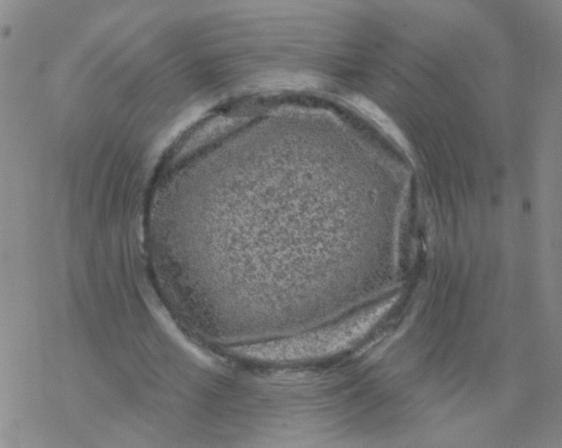 X0000076320581200610272006