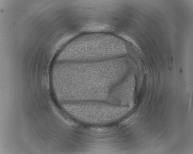 X0000076320582200610272006