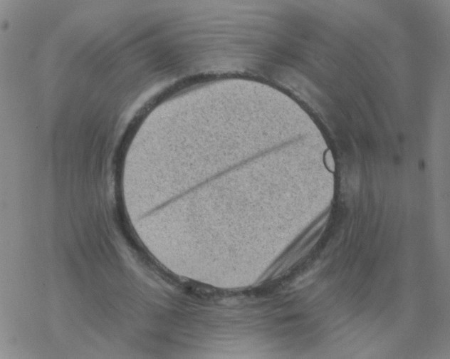 X0000076320584200610272006