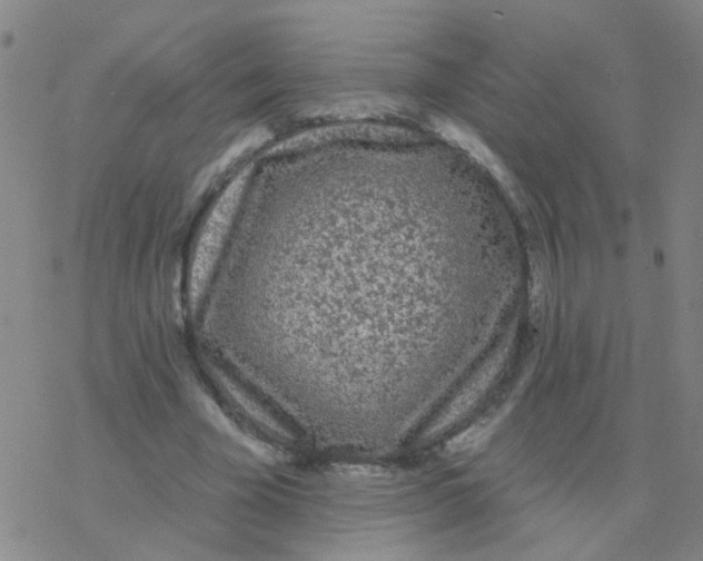 X0000076320585200610272006