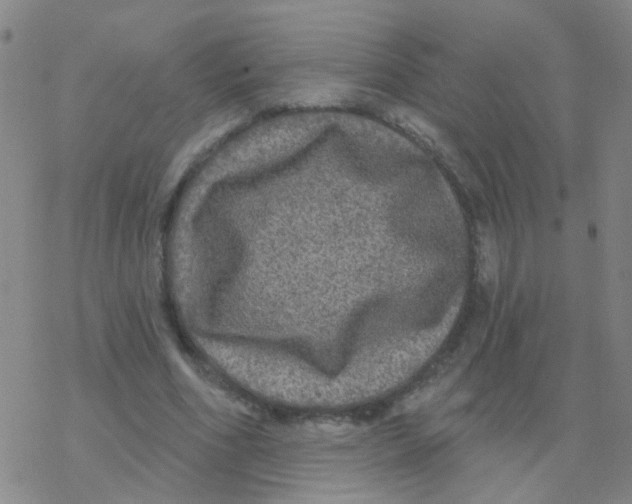 X0000076320586200610272006