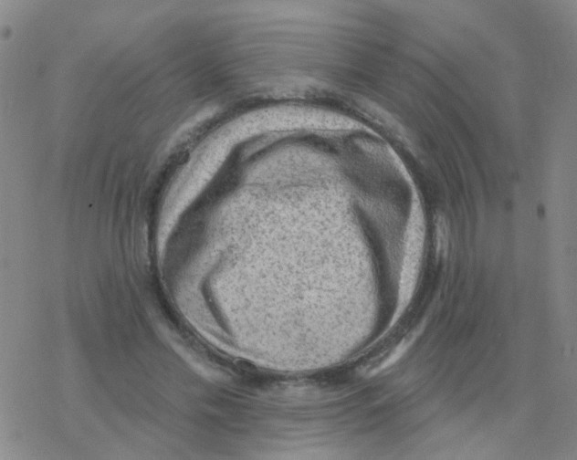 X0000076320589200610272006