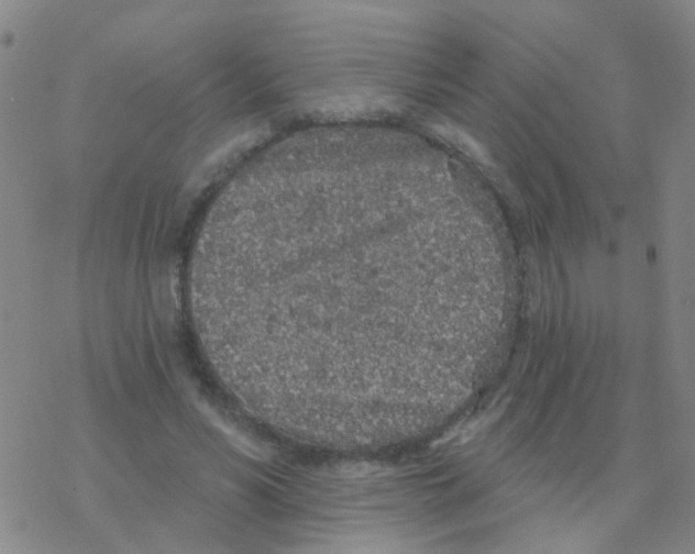 X0000076320590200610272006