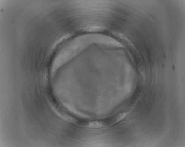 X0000076320591200610272006