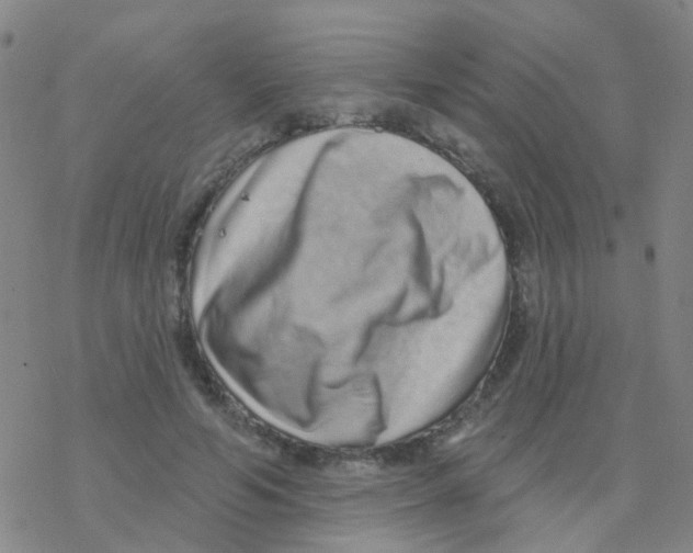 X0000076320594200610272006