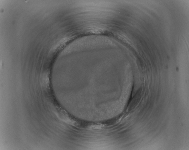 X0000076320595200610272006