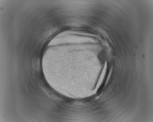 X0000076320596200610272006