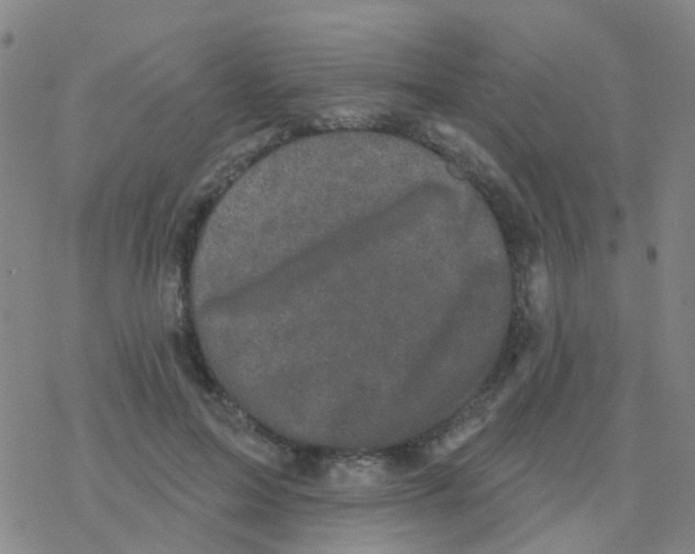 X0000076320599200610272006