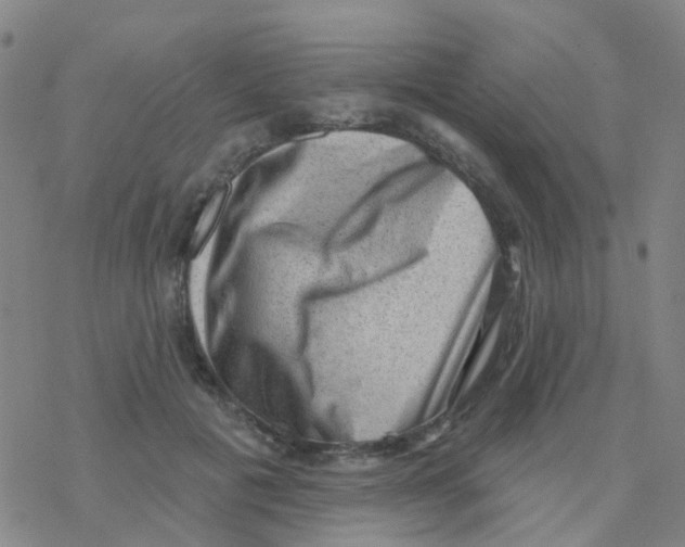 X0000076320601200610272006