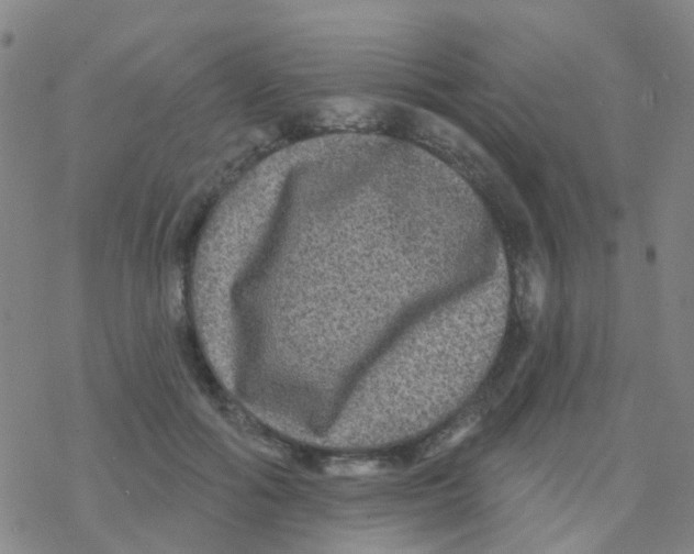 X0000076320602200610272006