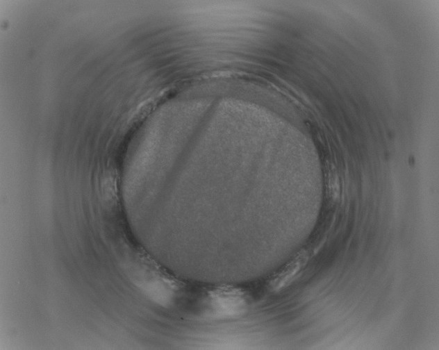 X0000076320603200610272006