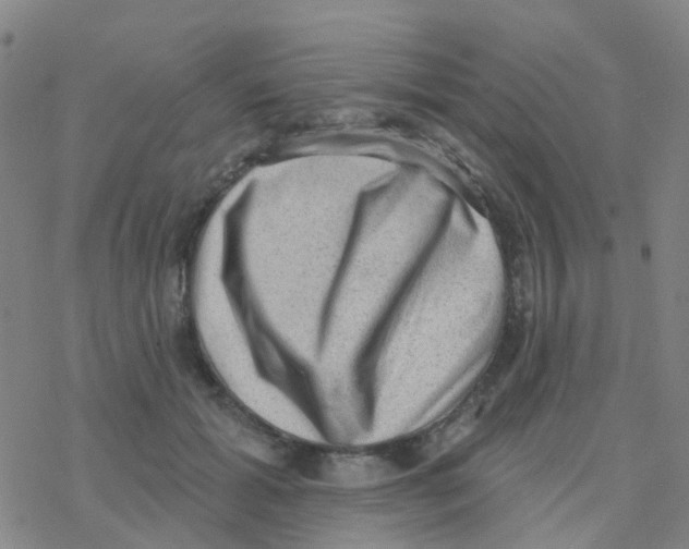 X0000076320605200610272006