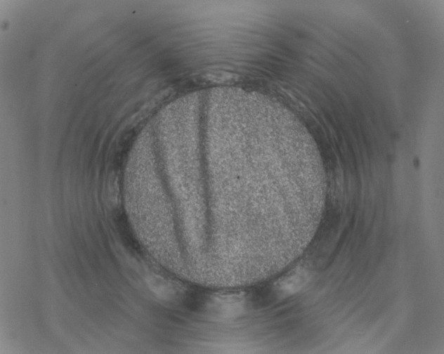 X0000076320606200610272006