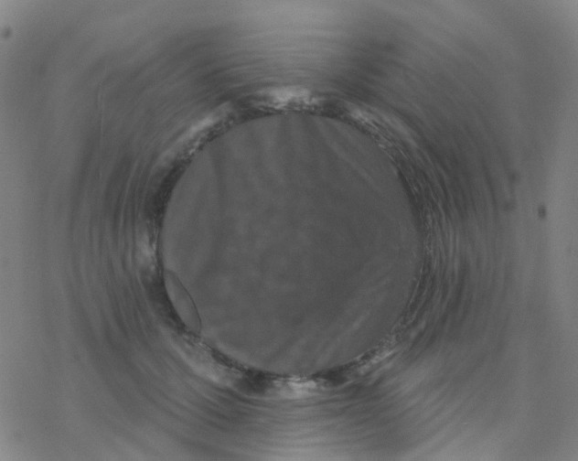 X0000076320607200610272006