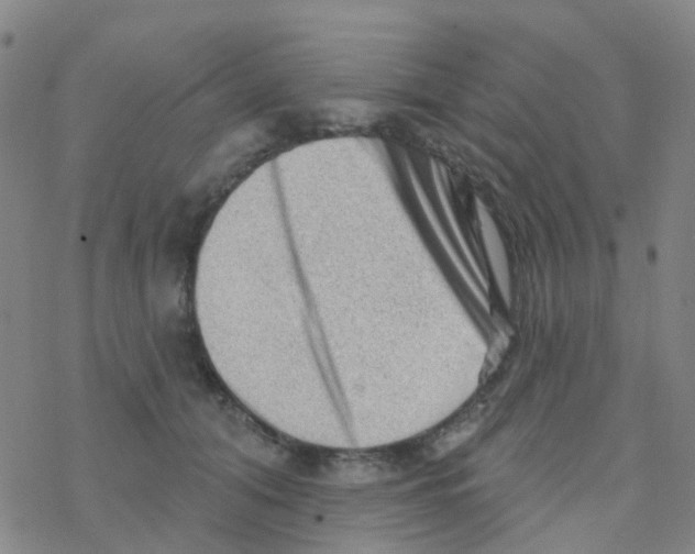 X0000076320608200610272006