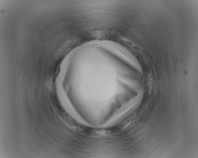 X0000076320611200610272006