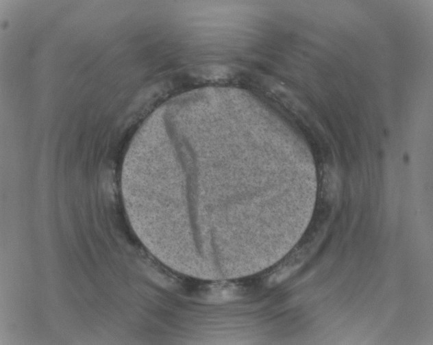 X0000076320612200610272006