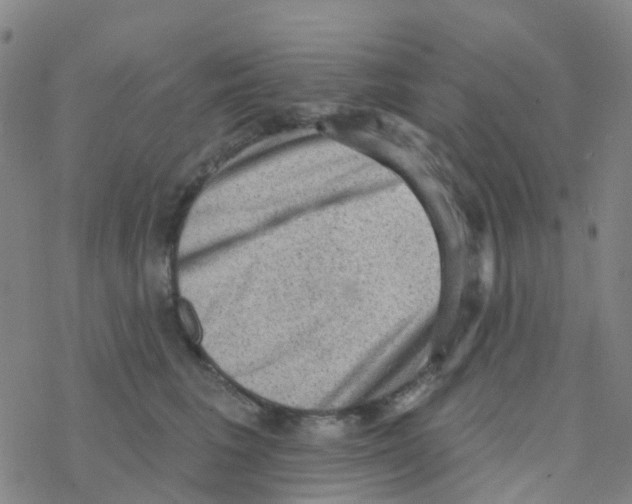 X0000076320613200610272006