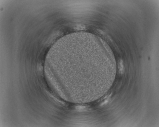 X0000076320614200610272006