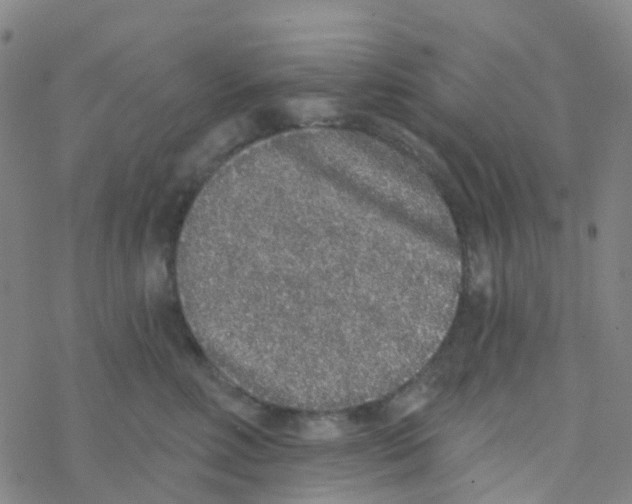 X0000076320618200610272006