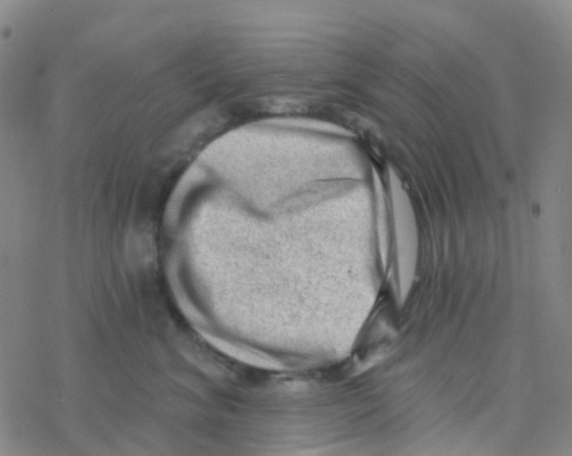 X0000076320620200610272006