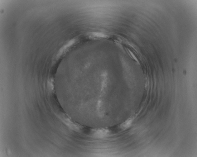 X0000076320621200610272006