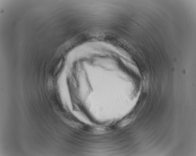 X0000076320623200610272006