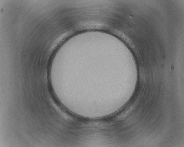 X0000076320629200610272005