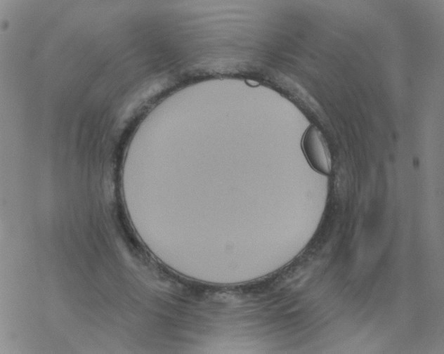 X0000076320635200610272005