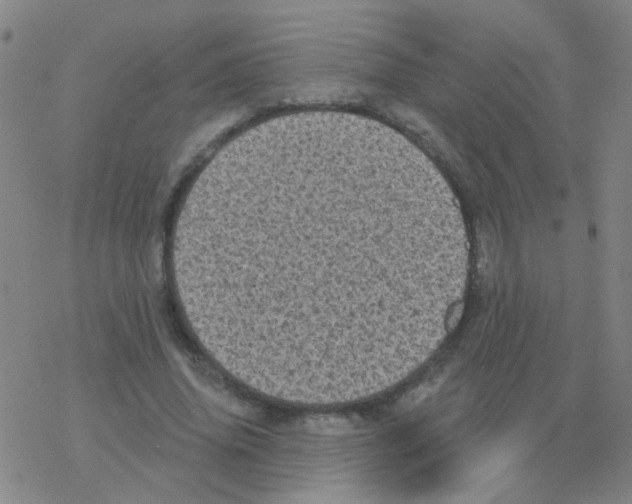 X0000076320636200610272005