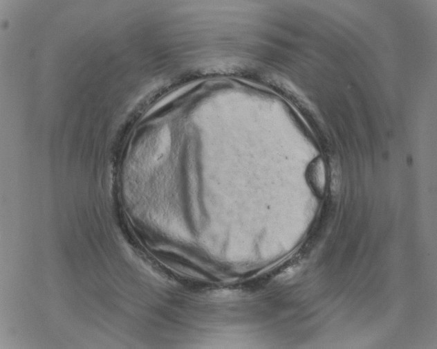 X0000076320637200610272005