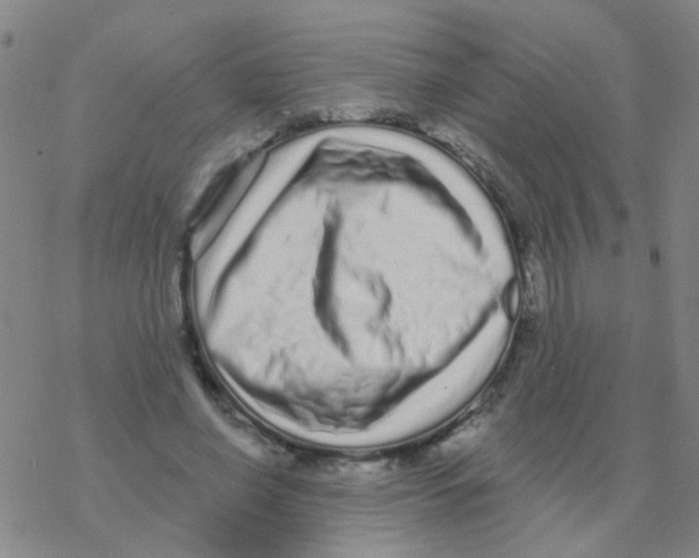 X0000076320638200610272005