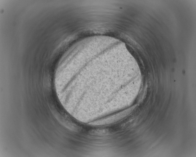 X0000076320639200610272005