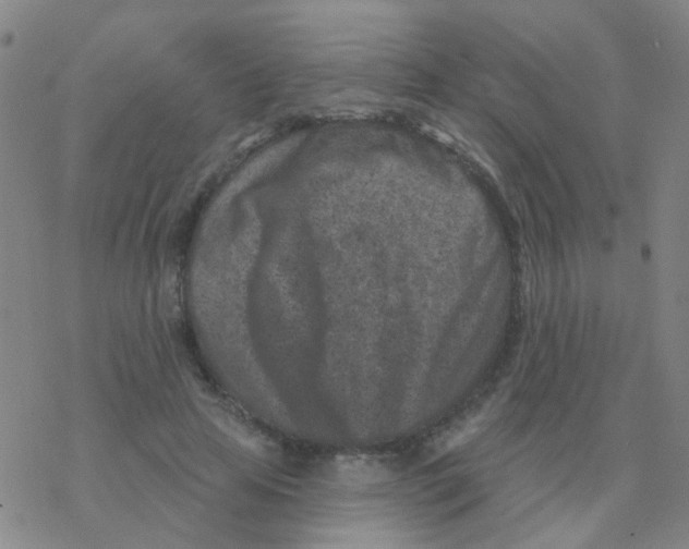 X0000076320641200610272005