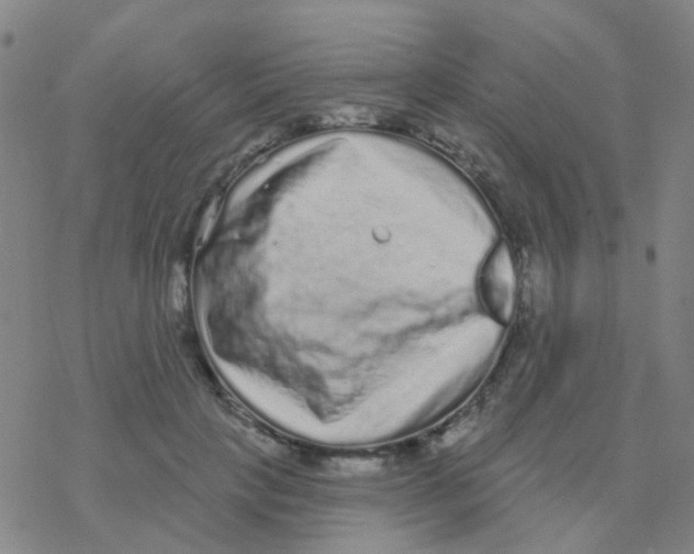 X0000076320649200610272005