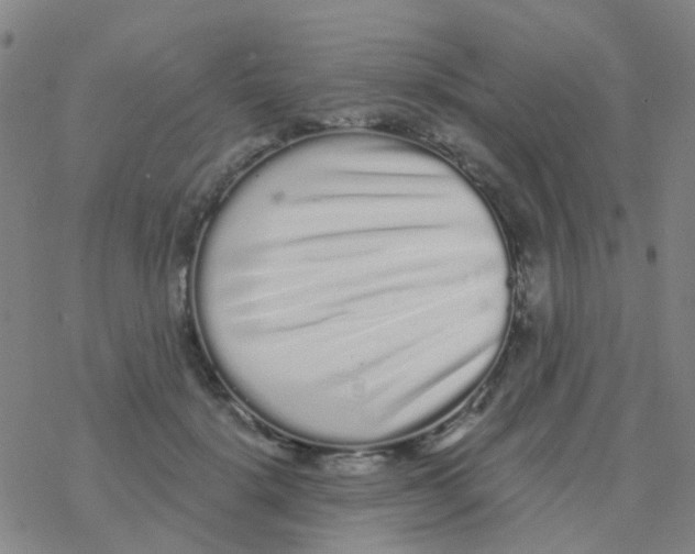 X0000076320652200610272005