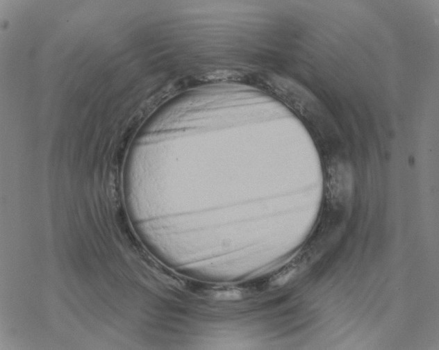 X0000076320653200610272005