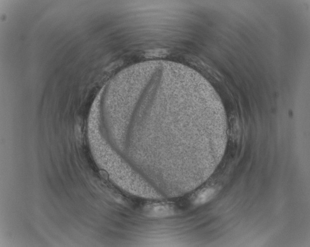 X0000076320655200610272005