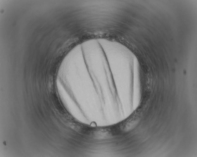 X0000076320656200610272005