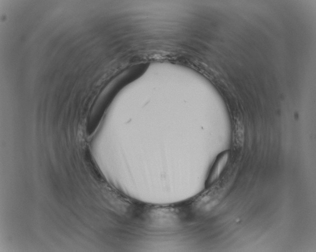 X0000076320657200610272005