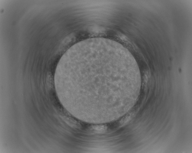 X0000076320659200610272005