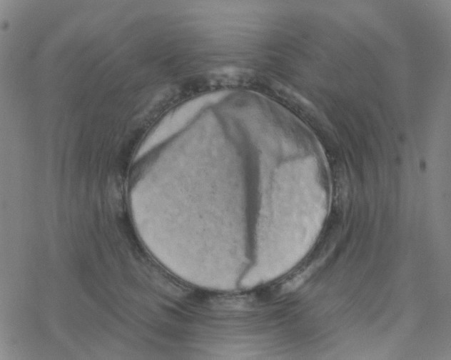 X0000076320661200610272005