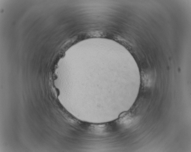 X0000076320665200610272005